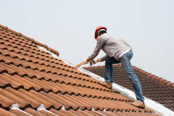 Cold Roofs in Land O Lakes, FL